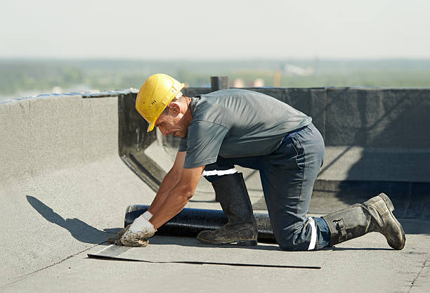 Best Cellulose Insulation in Greenville, MS